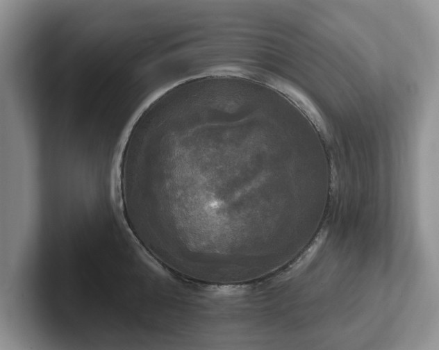 X0000102410808200808081323