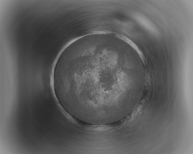 X0000102410811200808081323