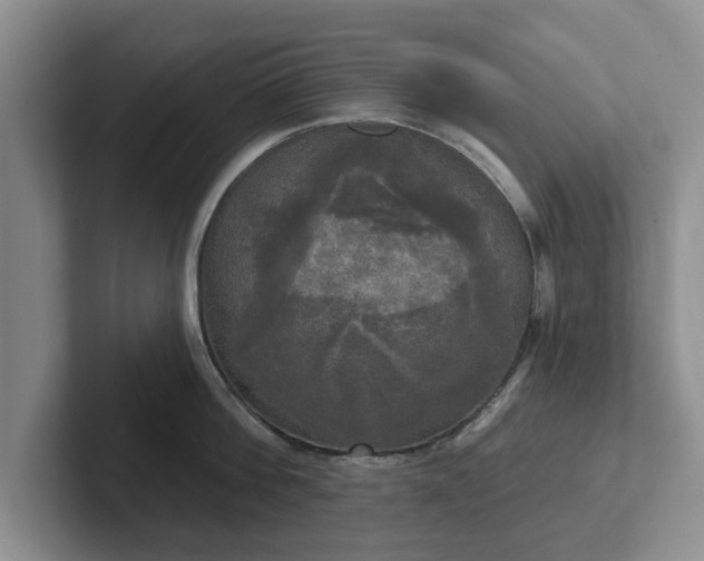 X0000102410812200808081323