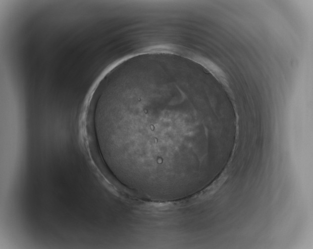 X0000102410816200808081323