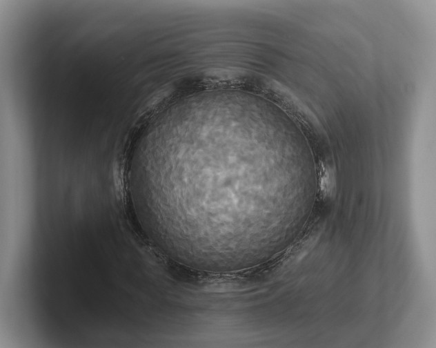 X0000102410819200808081322