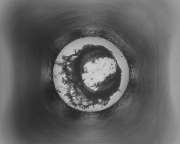 X0000102410820200808081322