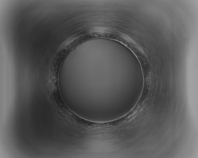 X0000102410822200808081322