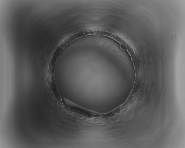 X0000102410823200808081322