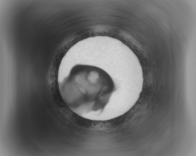 X0000102410824200808081322