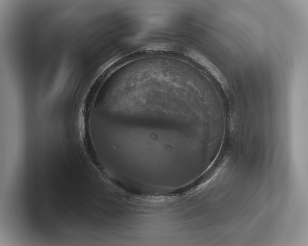 X0000102410829200808081323