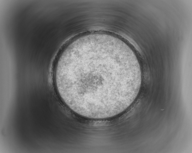 X0000102410832200808081323