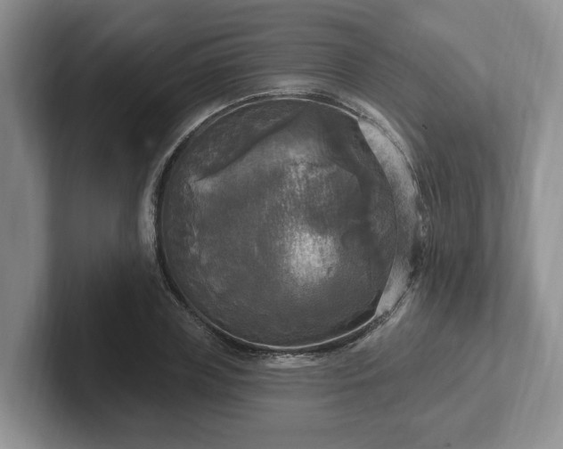 X0000102410835200808081323