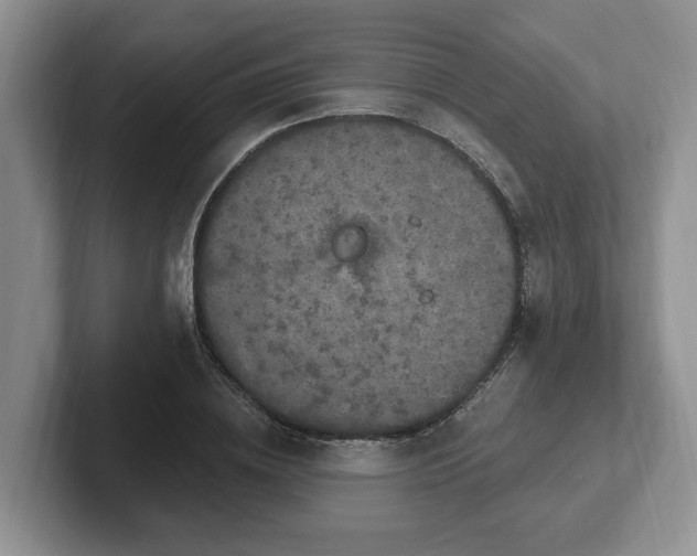 X0000102410836200808081323