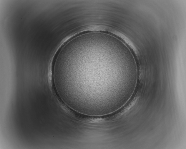 X0000102410837200808081323