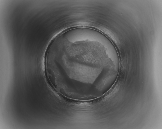 X0000102410839200808081323