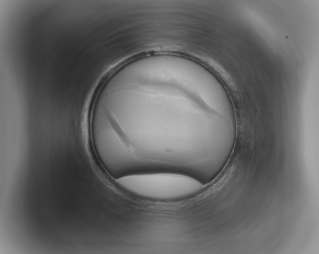 X0000102410840200808081323