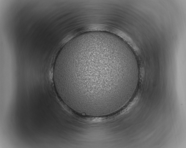 X0000102410841200808081323