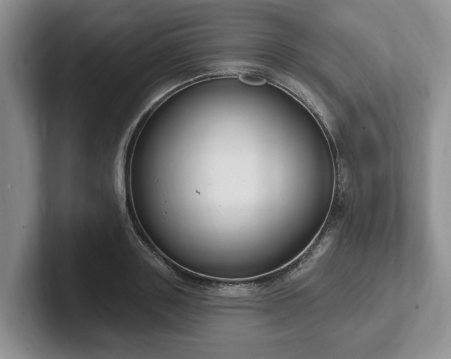 X0000102410843200808081323