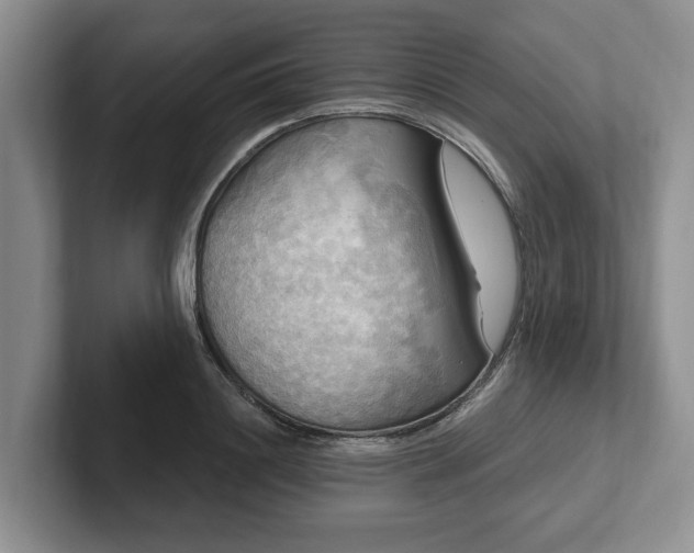 X0000102410844200808081323