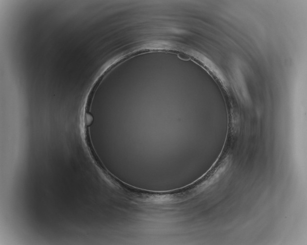 X0000102410845200808081323