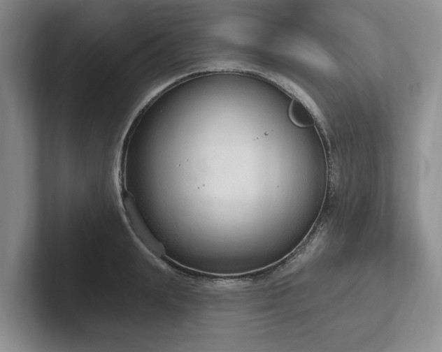 X0000102410847200808081323