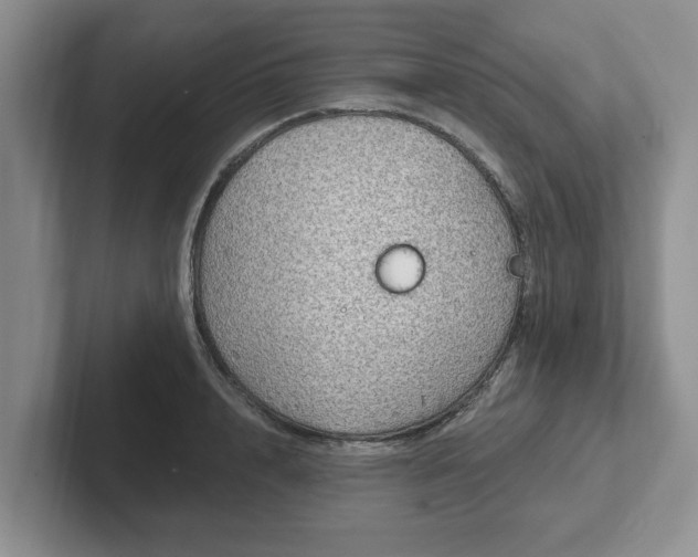 X0000102410848200808081323