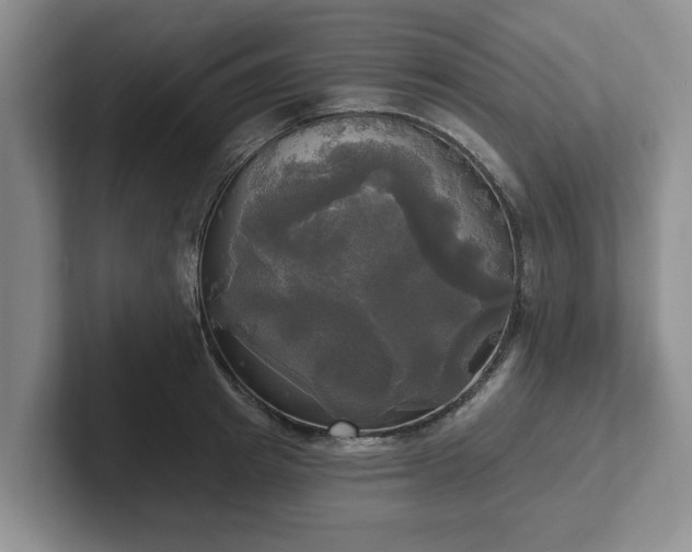 X0000102410849200808081323