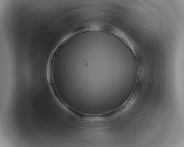 X0000102410851200808081323