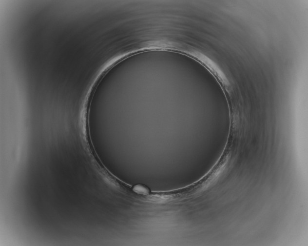 X0000102410854200808081323