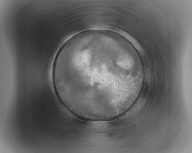 X0000102410856200808081323