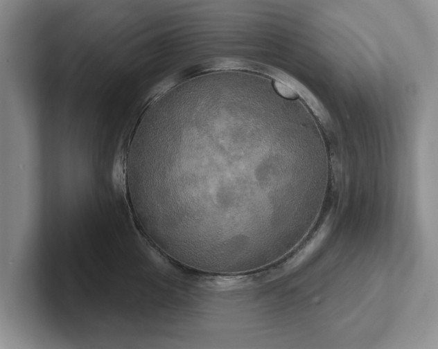 X0000102410857200808081323