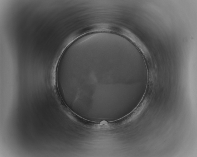 X0000102410858200808081323