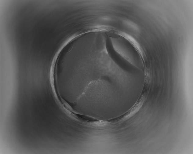 X0000102410859200808081323