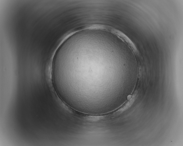 X0000102410860200808081323