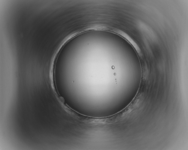 X0000102410861200808081323