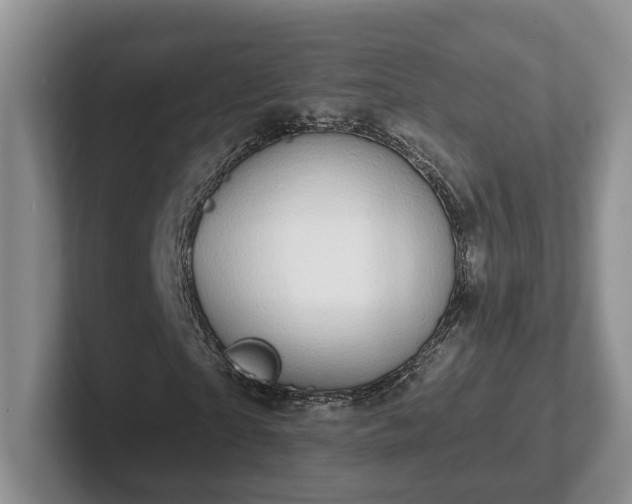 X0000102410865200808081322