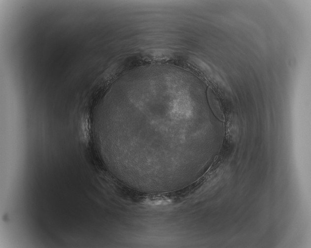 X0000102410866200808081322