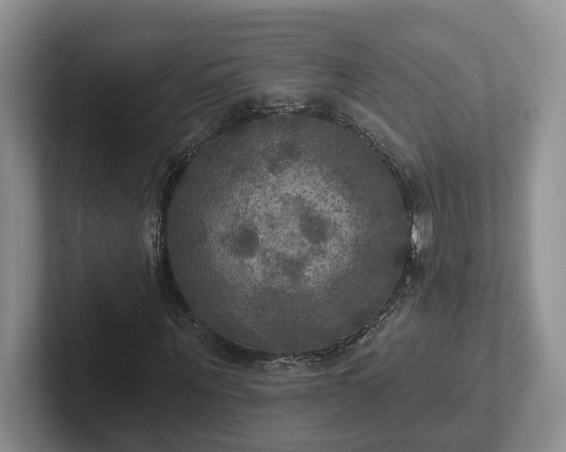 X0000102410867200808081322