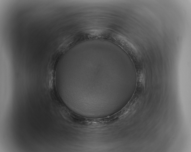 X0000102410868200808081322