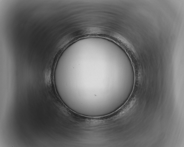 X0000102410873200808081322