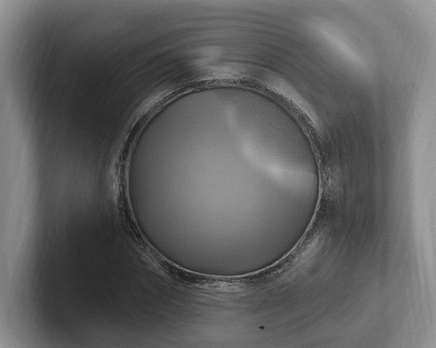 X0000102410874200808081322