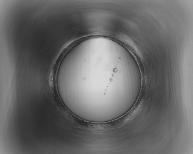 X0000102410875200808081322