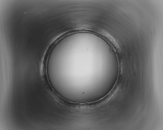 X0000102410876200808081322