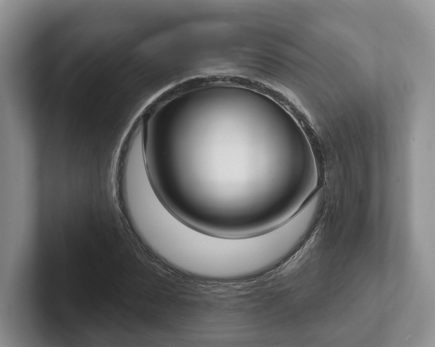 X0000102410879200808081322