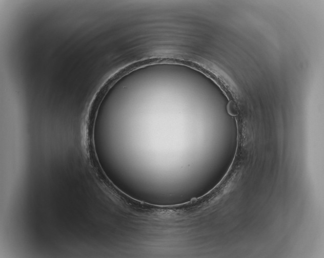 X0000102410880200808081322