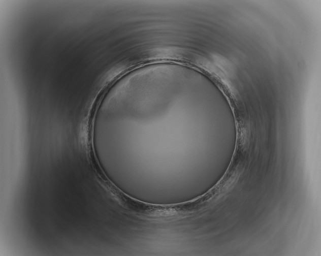 X0000102410882200808081322