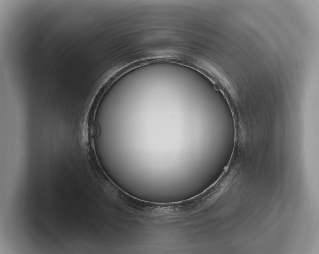 X0000102410883200808081322