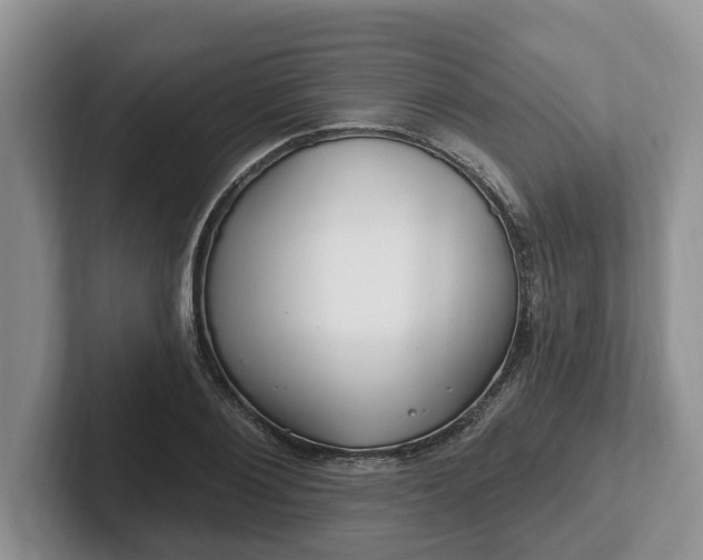 X0000102410884200808081322