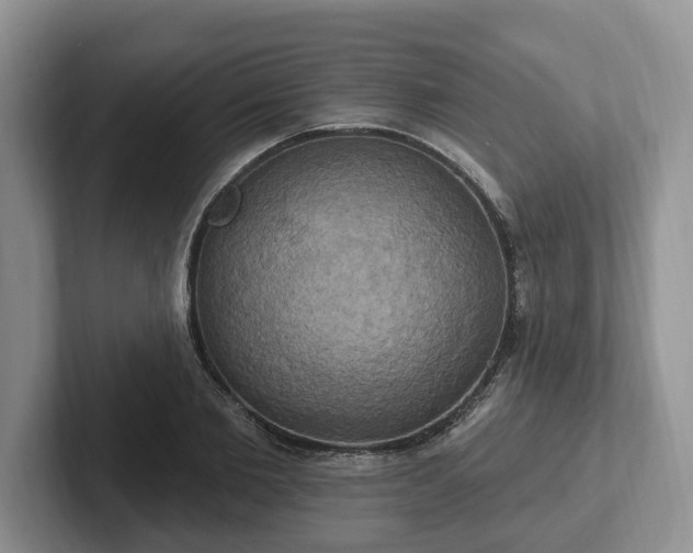 X0000102410885200808081322