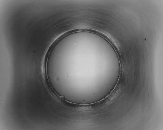 X0000102410887200808081322