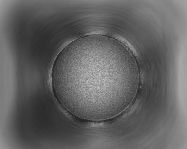 X0000102410890200808081322