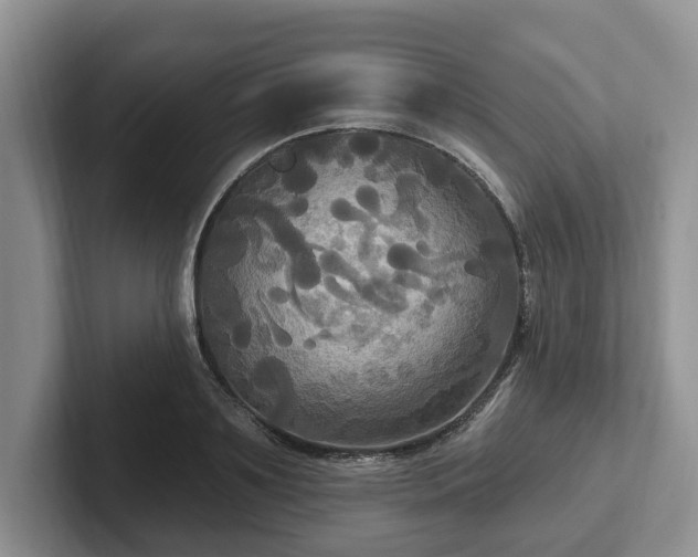 X0000102410891200808081322