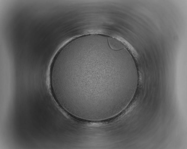 X0000102410894200808081322