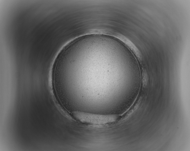 X0000102410896200808081322